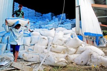 Kerusakan Beras Bulog Akibat Banjir