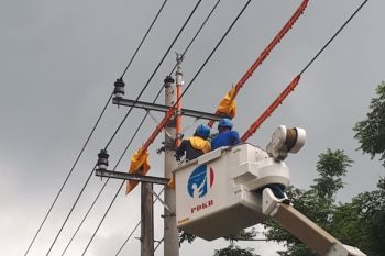 PLN terapkan perbaikan tanpa pemadaman