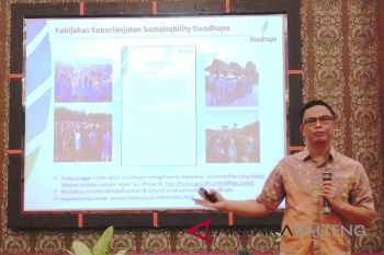 Kebakaran lahan gambut di Indonesia menurun