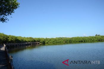 Menikmati pesona danau hutan mangrove Gili Meno