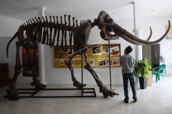 Museum Situs Purba Pati Ayam