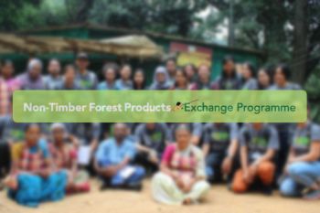 NTFP-EP beri pelatihan Bisnis dan HAM