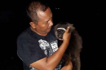 Petugas gabungan mengamankan enam ekor satwa dilindungi