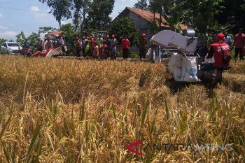 Kementan pantau pemanfaatan alsintan bantuan pemerintah