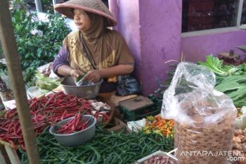 Harga cabai masih bertahan tinggi