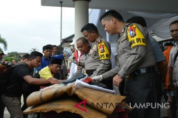 Polisi tangkap buronan pembunuhan di Babel