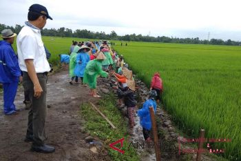 Padat karya dukung daya beli keluarga