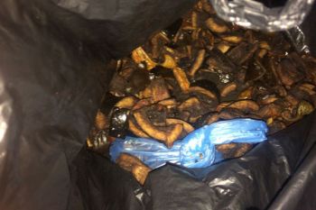 Mataram kembangkan mesin pembakar sampah tanpa asap