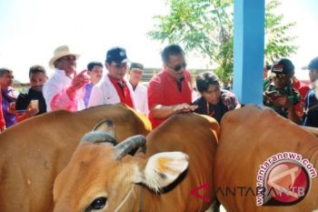 Dana aspirasi peternakan Lombok Timur rp10 miliar