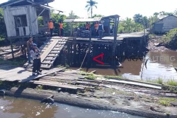 BKSDA ingatkan warga waspada serangan buaya