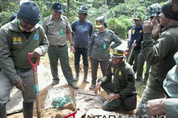 Aktivitas penambangan emas ilegal Dongi-Dongi masih berlangsung
