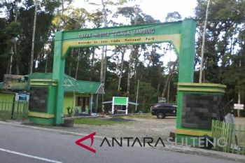 Danau Tambing, lokasi birding &amp; camping menarik di Taman Nasional Lore Lindu