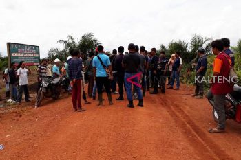 PT BSP diduga garap lahan warga Kotim