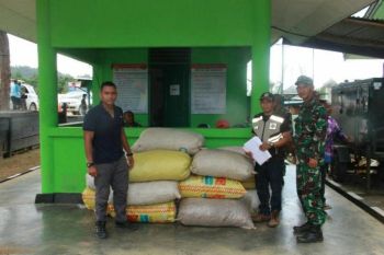 Yonif 501 Kostrad amankan 447 kilogram kulit kayu masoi dari PNG