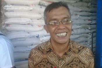 Bulog Sampit mampu menjual satu ton daging beku tiap bulan