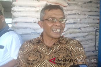 Ini persiapan Bulog Sampit mengantisipasi gejolak harga beras