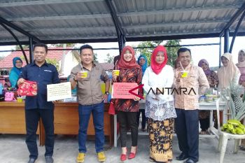Kreatif, nanas gantang khas Sampit diolah beragam makanan seperti ini