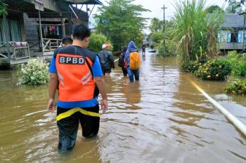 Banjir di Kalteng terkendali dan tinggi air cenderung turun