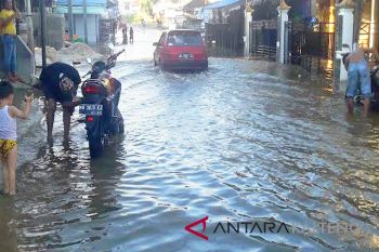 Meluapnya Sungai Barito, sejumlah desa di Barut terendam banjir