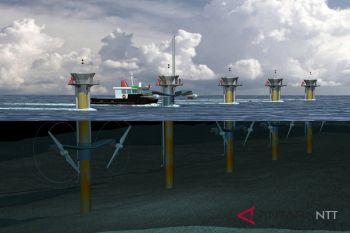 Dutch consortium serious in building PLTAL in East Flores