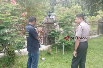Wow di pekarangan restoran ini tumbuh bunga bangkai