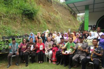 PBB meninjau kawasan rumah pangan Kulon Progo
