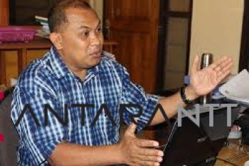 Produksi telur ayam di NTT belum signifikan