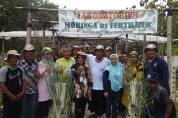 Petani Sulteng termotivasi peroleh rupiah dari kelor