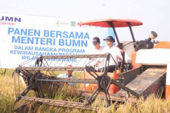 Rini panen padi "Serap Gabah" di Karawang