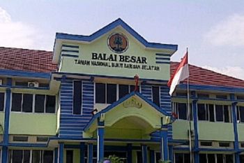 Konservasi cagar alam laut Lampung terancam