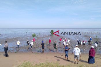 DLH Seruyan akui hutan mangrove di pesisir rusak parah, ini akibatnya