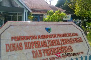 Gaet modal LPDB, Pesisir Selatan tingkatkan kemampuan membuat proposal pelaku UMKM