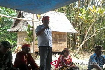 Tokoh adat Lore minta TNLL atasi perambahan