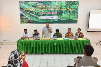 Antam-wallacea praktik pendampingan agroforestry