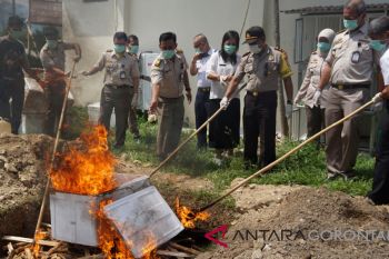 Pemusnahan Tikus Beku