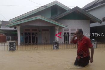 Puluhan rumah di Muara Teweh terendam banjir