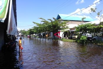 Sejumlah sekolah di Palangka Raya terendam banjir