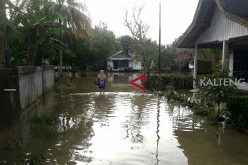 Banjir di Muara Teweh mulai surut