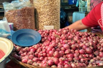 Di Jambi harga bawang merah naik Rp2.000 perkilogram
