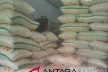 Produksi beras di Lebak Banten surplus 145.031 ton