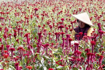 BKP Denpasar raih penghargaan manajemen anti-suap