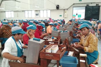 Ribuan buruh rokok Djarum berkebaya peringati Hari Kartini (VIDEO)