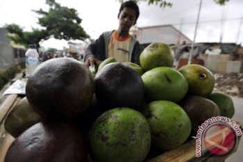 Beberapa Makanan ini bisa bantu redakan cemas