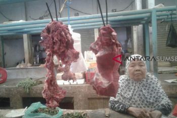 Harga daging sapi di Palembang stabil