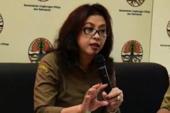 Pasokan cabai di Boyolali dijamin aman