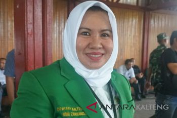 Pembangunan infrastruktur Kapuas sudah penuhi target, kata legislator