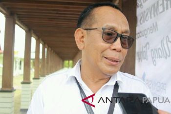 Freeport akan tutup tambang terbuka pada 2019