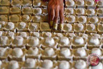 Berbenah tata kelola komoditas garam nusantara