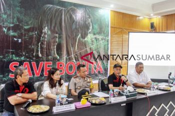 HARIMAU BONITA DITANGKAP