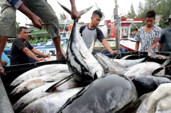 Sulsel siap penuhi permintaan ikan pengusaha Perancis